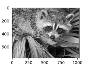 ../../_images/sphx_glr_plot_face_compress_001.png