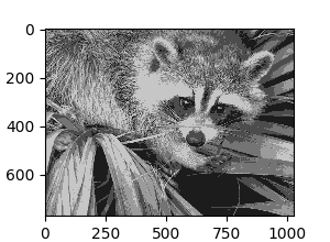 ../../_images/sphx_glr_plot_face_compress_002.png